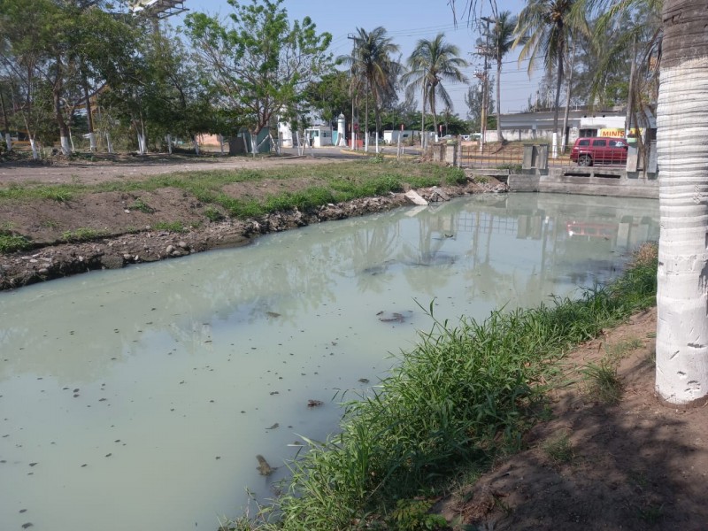 Denuncian disminución del agua y contaminación de la Laguna Olmeca