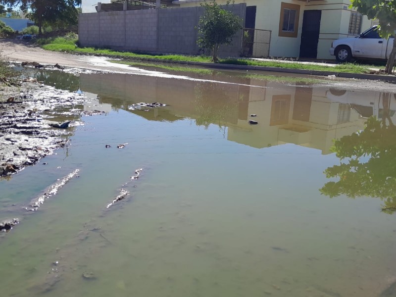 Denuncian drenaje colapsado en fraccionamiento Las Cerezas
