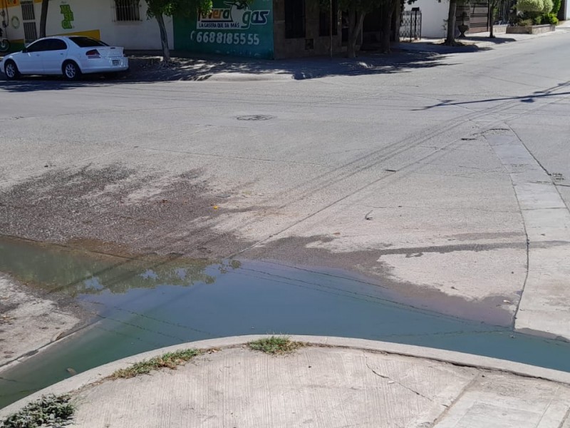Denuncian drenaje colapsado en Villas de Monterrey