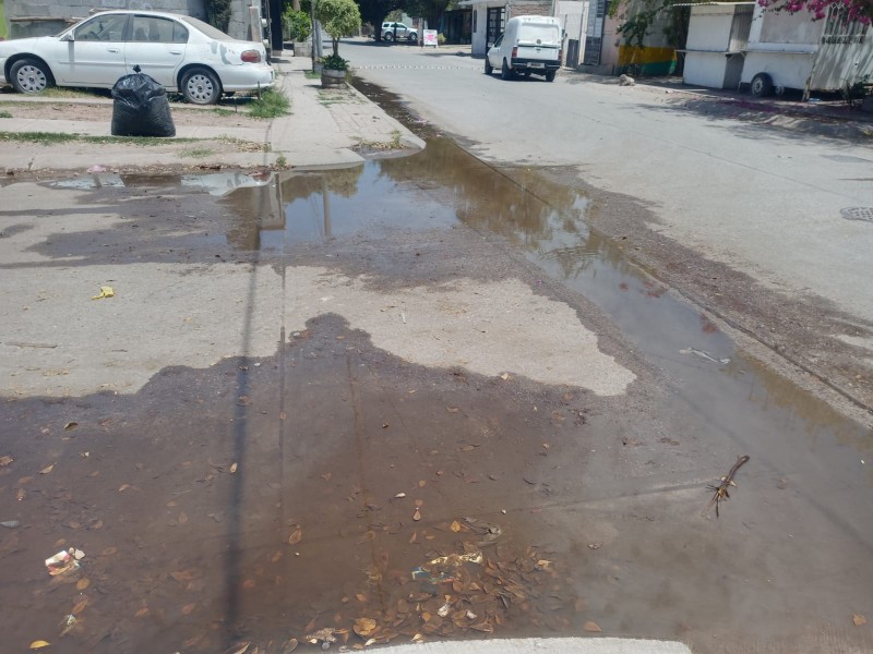 Denuncian drenajes colapsados en Colonia Virreyes