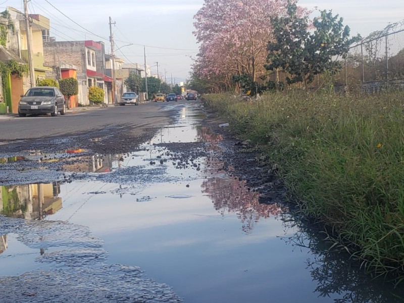 Denuncian drenajes colapsados en fracc. Jacarandas