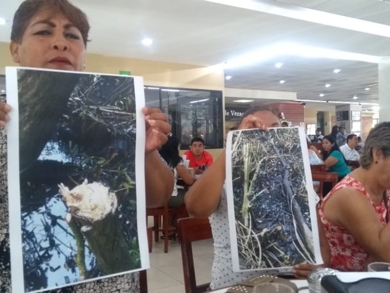 Denuncian ecocidio en el Arroyo Moreno