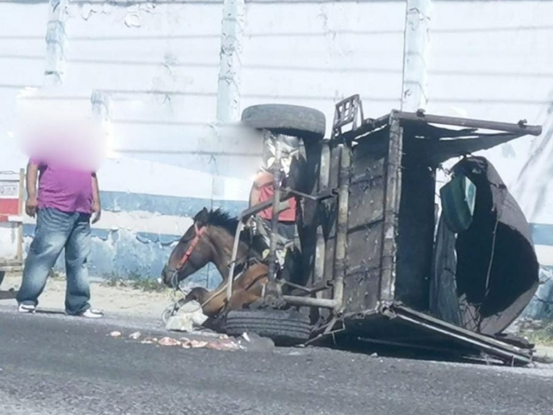 Denuncian en redes sociales maltrato animal en Juchitán