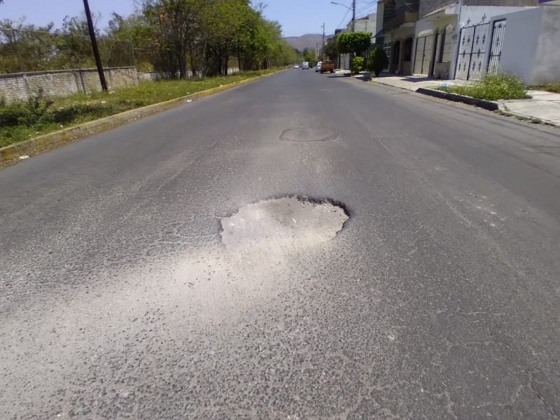 Denuncian enorme bache en calle Parkinson