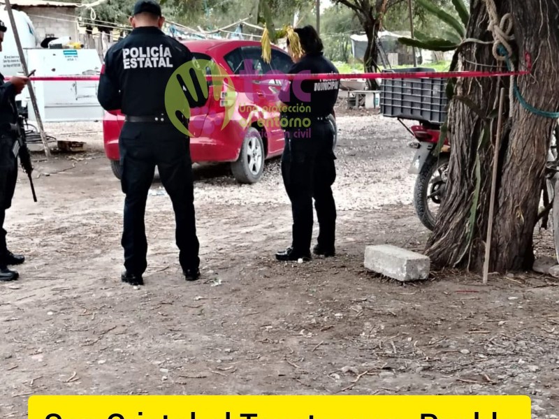 Denuncian envenenamiento masivo de perritos en Tepeteopan