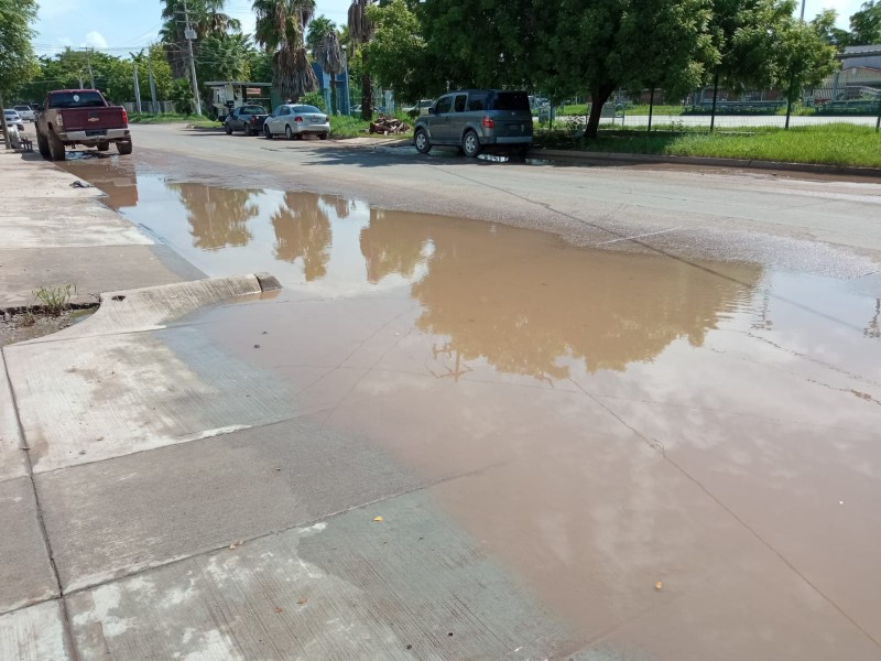 Denuncian estancamiento de agua en la Anáhuac