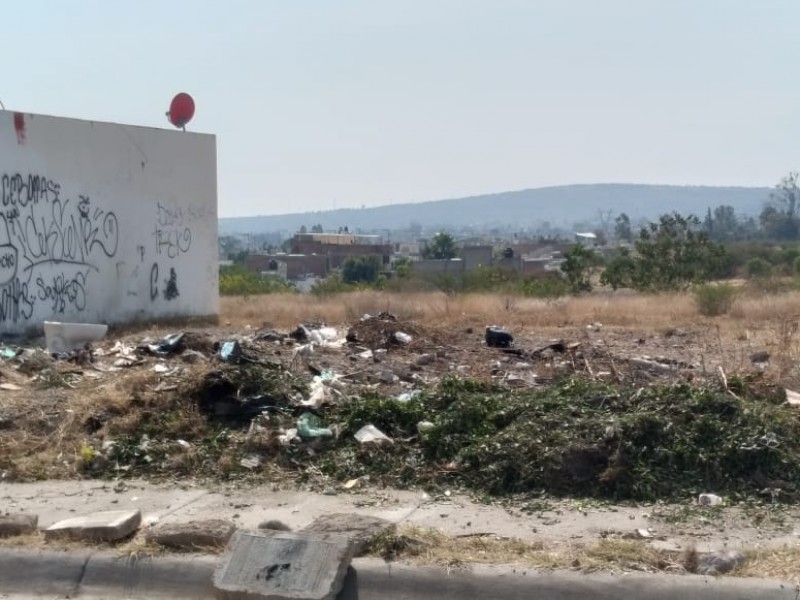 Denuncian excesiva basura en calle Vista Boyero