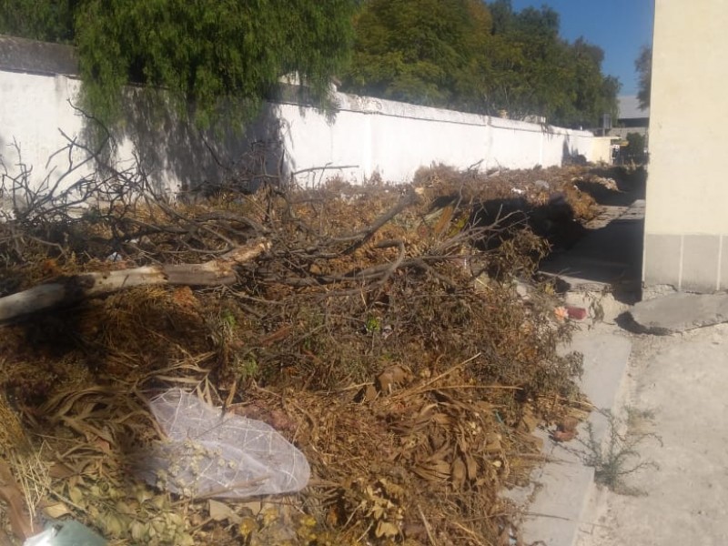 Denuncian exceso de basura en panteón