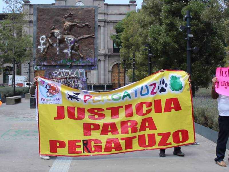 Denuncian extorsión a albergue animal en Nicolás Romero