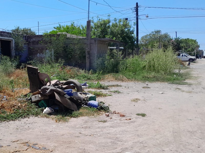 Denuncian fallas de recolección de basura en la Miguel Hidalgo