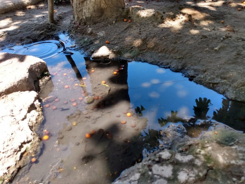 Denuncian falta de agua en colonias de Empalme