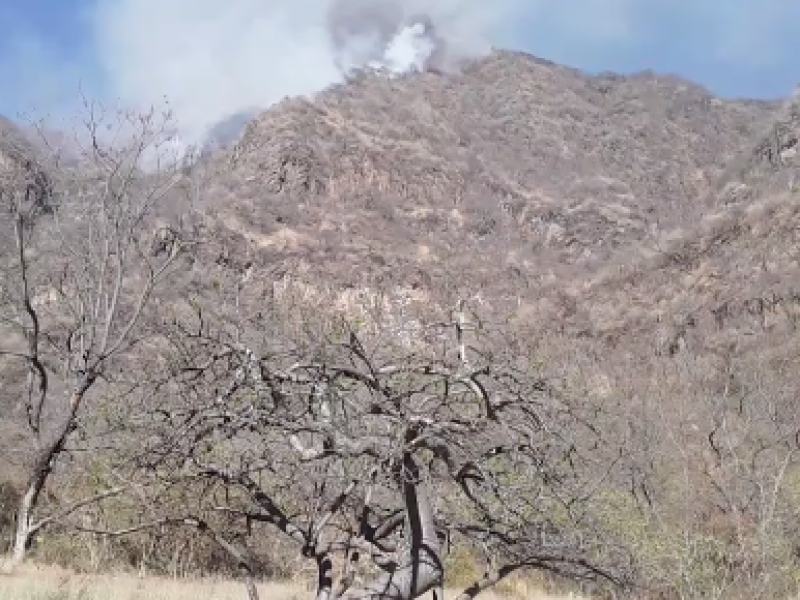 Denuncian falta de atención de incendio forestal en Jala