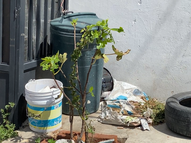 Denuncian falta de recolección de basura en Felipe Angeles Zacatecas