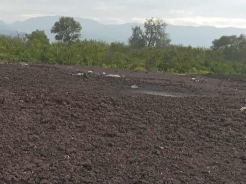 Denuncian foco de contaminación en San Marcos Necoxtla