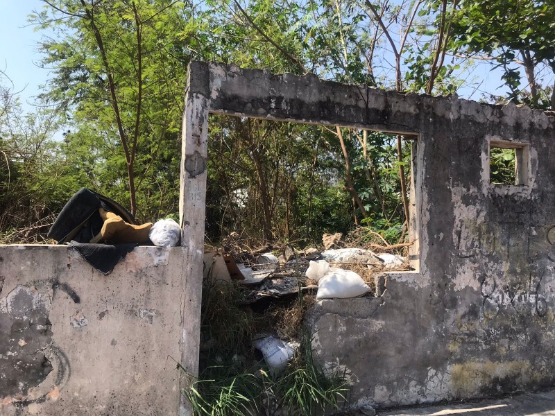 Denuncian foco de infección por lote baldío en colonia Rigo