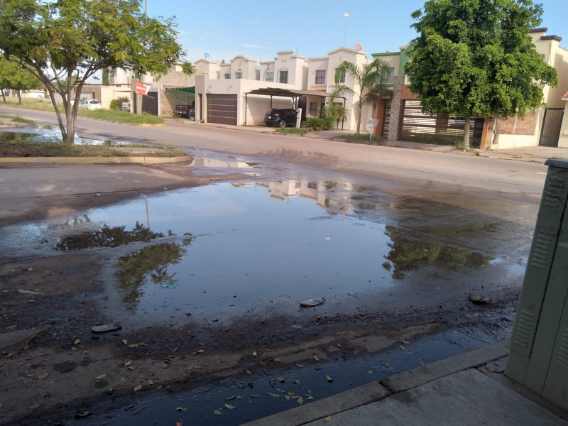 Denuncian fuertes aromas por aguas negras en Jardines del Bosque