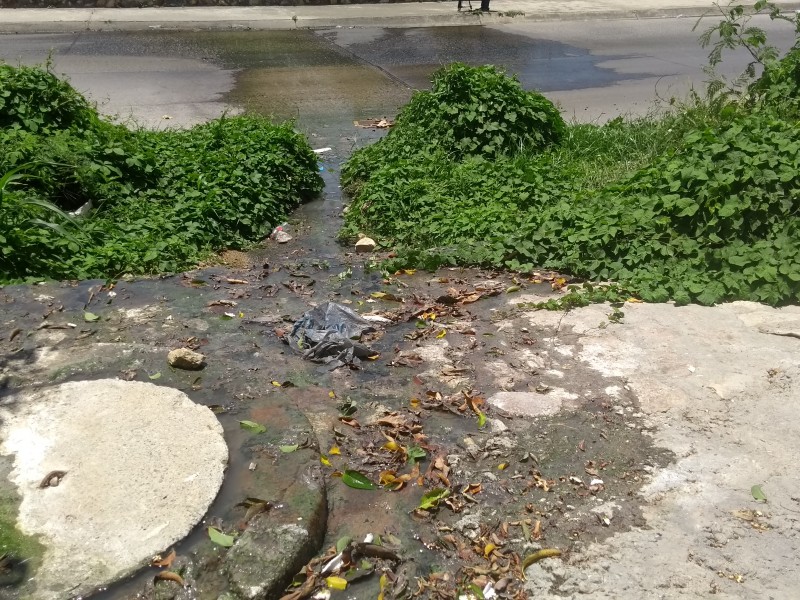 Denuncian fuga de agua negras; San Pablo Sur