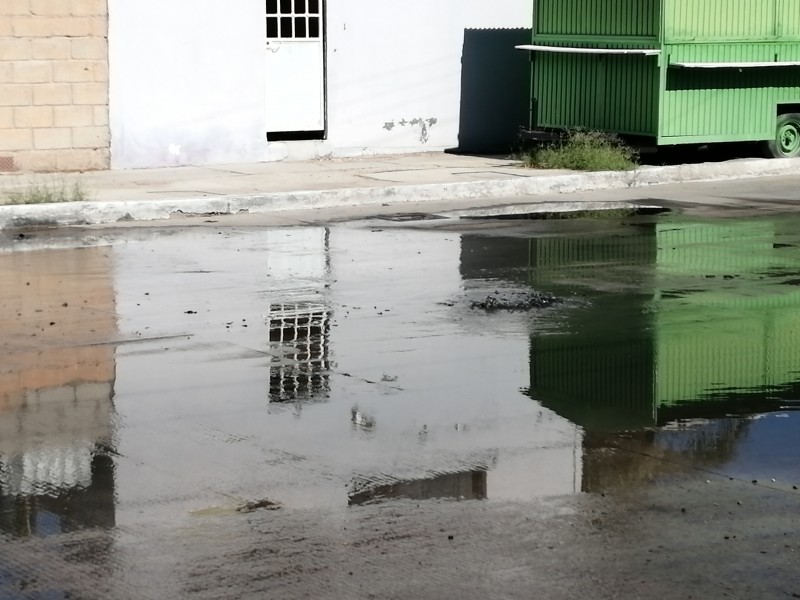 Denuncian fuga de aguas negras en Las Arboledas