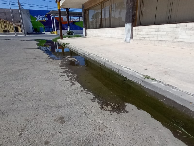 Denuncian fuga de aguas verdes en centro de Torreón