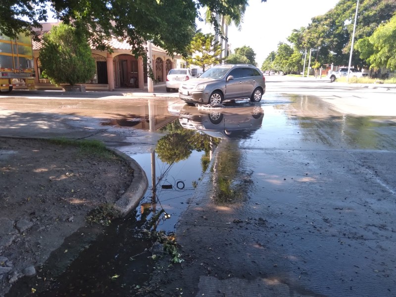 Denuncian grandes encharcamientos en la colonia Anáhuac