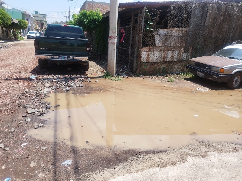 Denuncian habitantes de San Ramón mal estado de calle principal