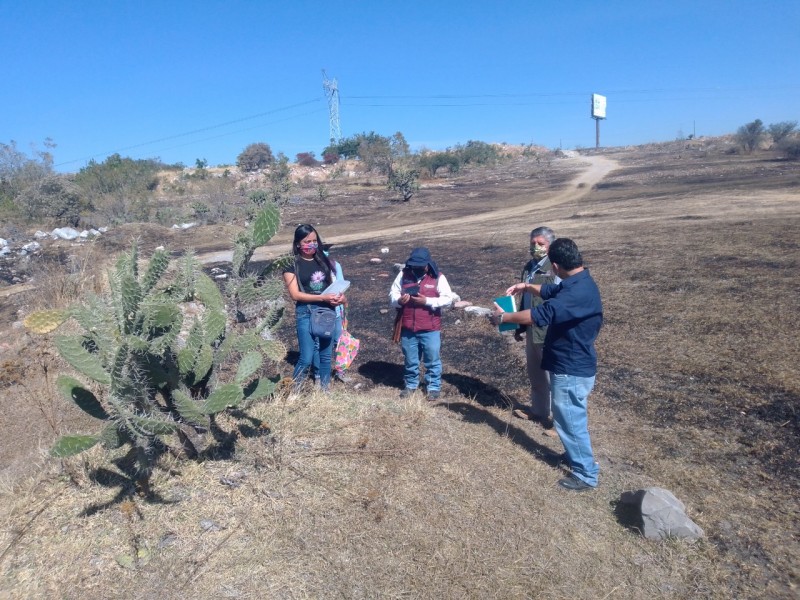 Denuncian labores para lotificar en Zona Arqueológica de Tepalcayotl