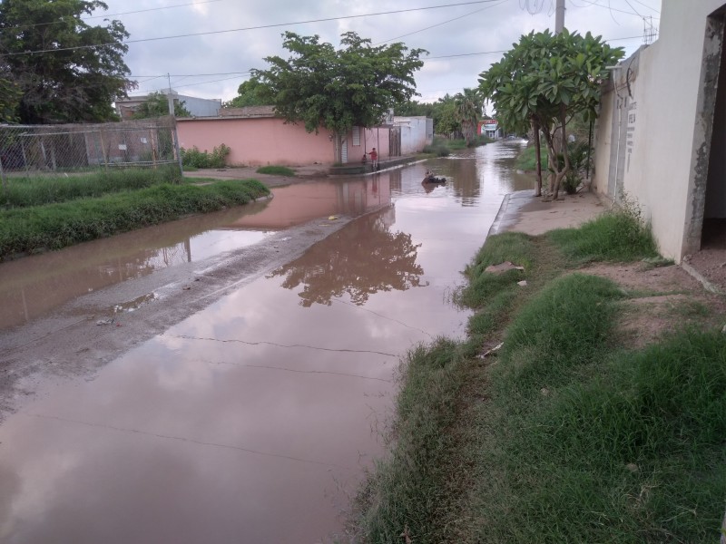 Denuncian lagunas de aguas negras en colonia Nueva Revolución