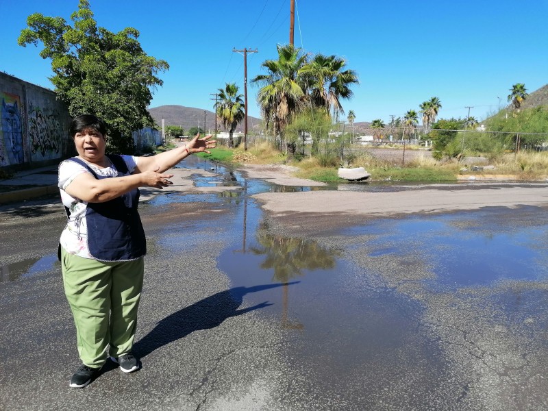 Denuncian lagunas de excremento en calles de Topolobampo