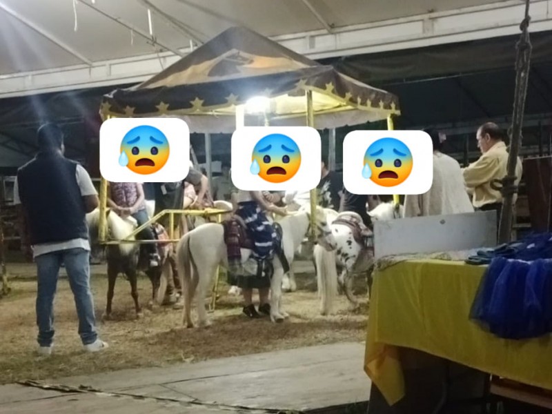 Denuncian maltrato animal en atracción de feria de Banderilla