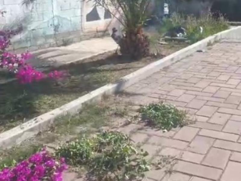 Denuncian mantenimiento de parque 