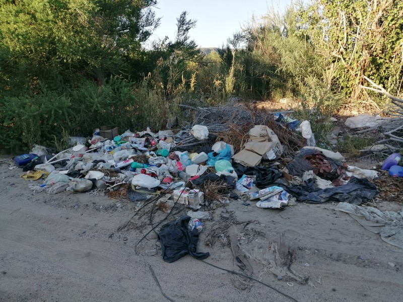 Denuncian montones de basura en Fracc. Las Palmas