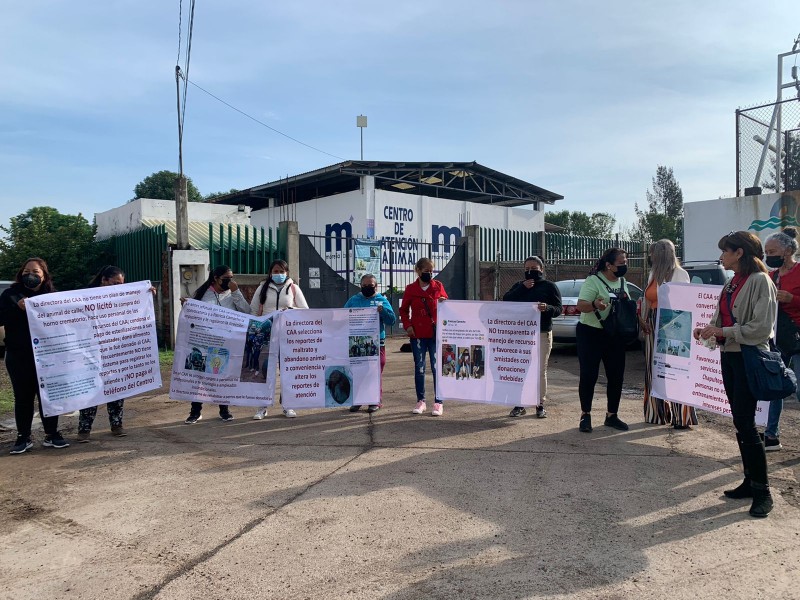 Denuncian muerte de perros tras campaña de esterilización en Morelia