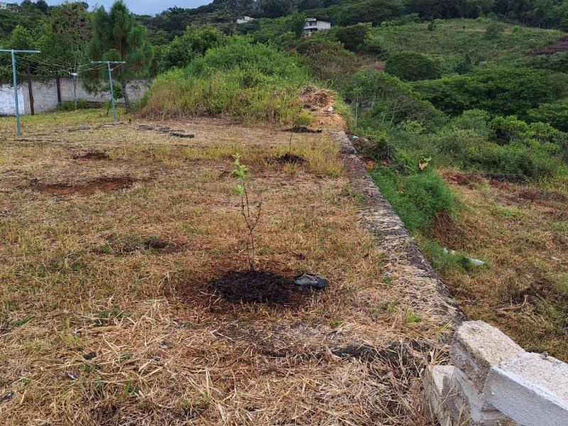 Denuncian nuevas invasiones al Bosque Don Roberto