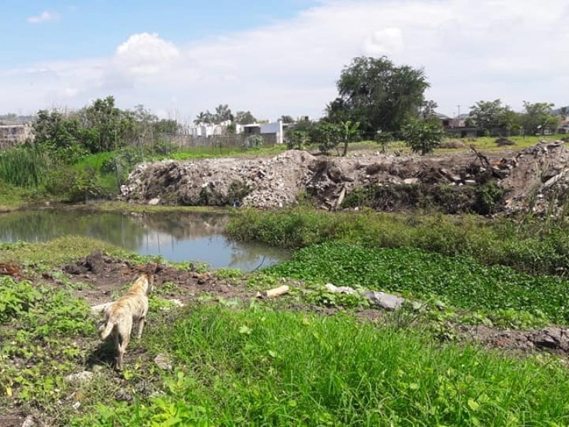 Denuncian obstrucción del río mololoa en fracc. los limones