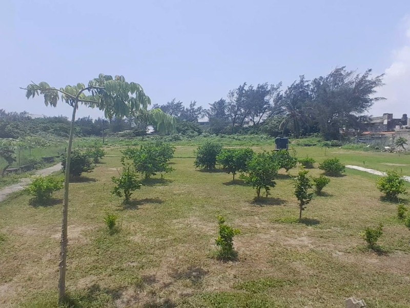 Denuncian ocupación de terreno en 