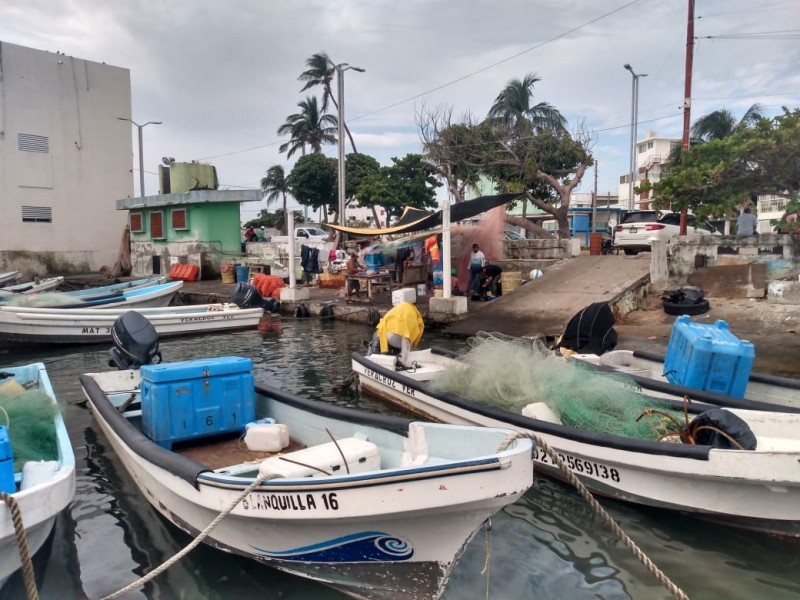 Denuncian pescadores más de 400 permisos de pesca comercial detenidos