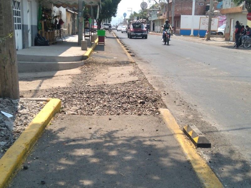 Denuncian pésimas condiciones de ciclovía ubicada al poniente de Zamora