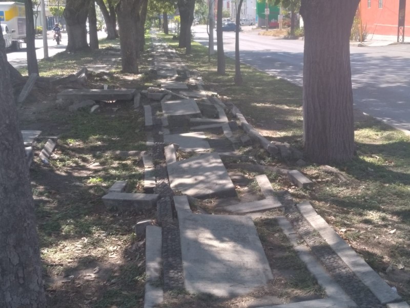 Denuncian pésimas condiciones del camellón de avenida Benito Juárez