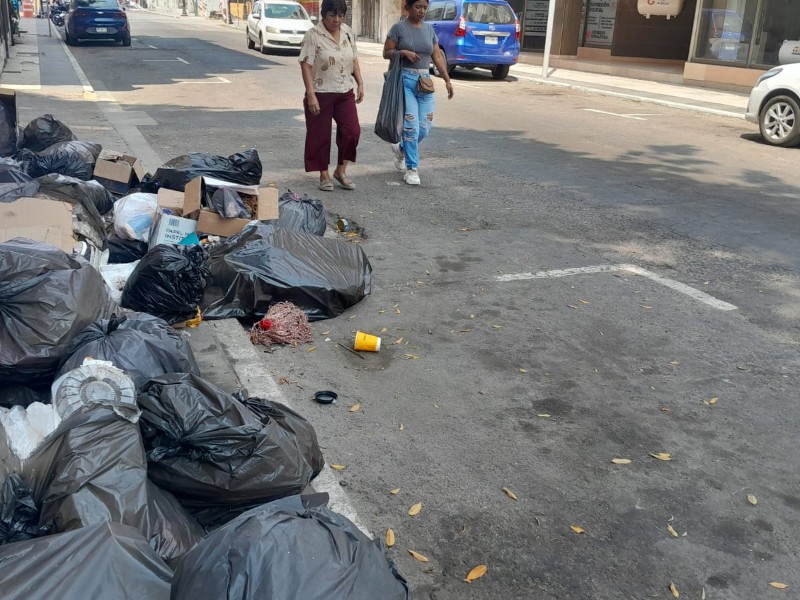 Denuncian pésimo servicio en recolección de basura en el centro