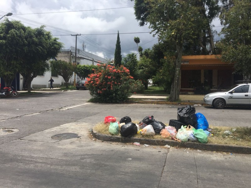 Denuncian problemas con recolección de basura