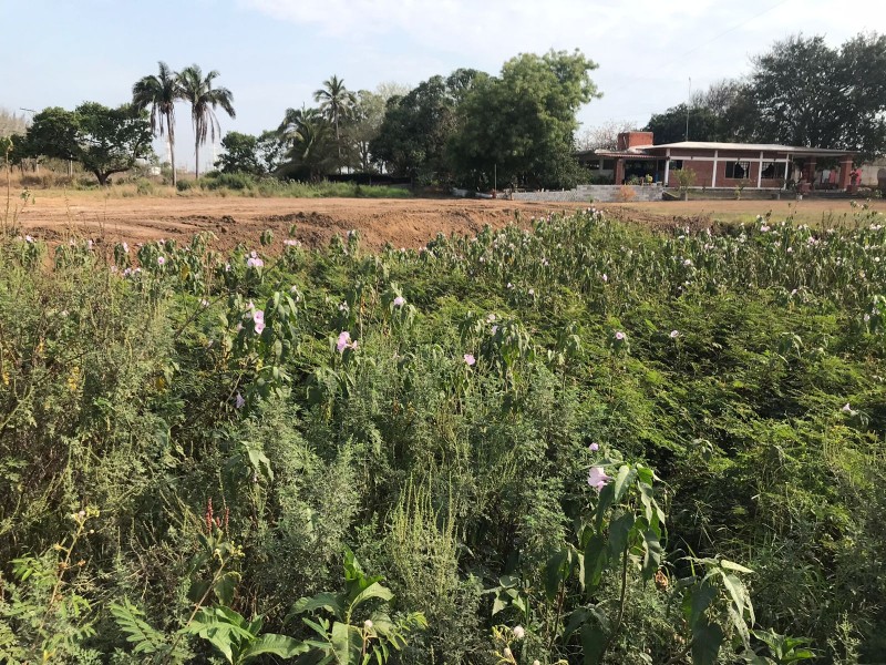 Denuncian relleno de vaso regular natural en Matacocuite