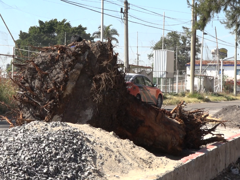 Denuncian salmantinos daños ecológicos al medio ambiente