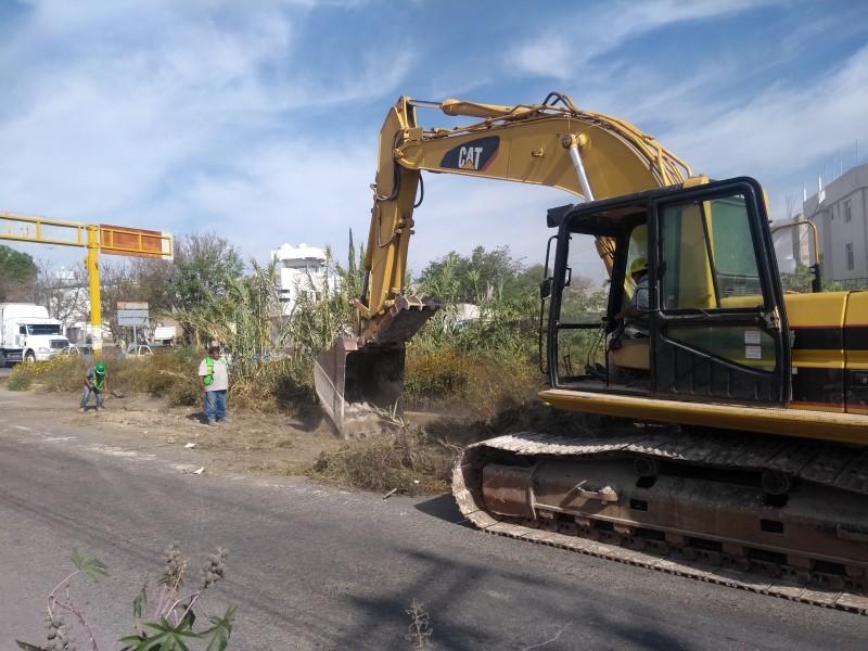 Denuncian tala de árboles por limpieza del dren