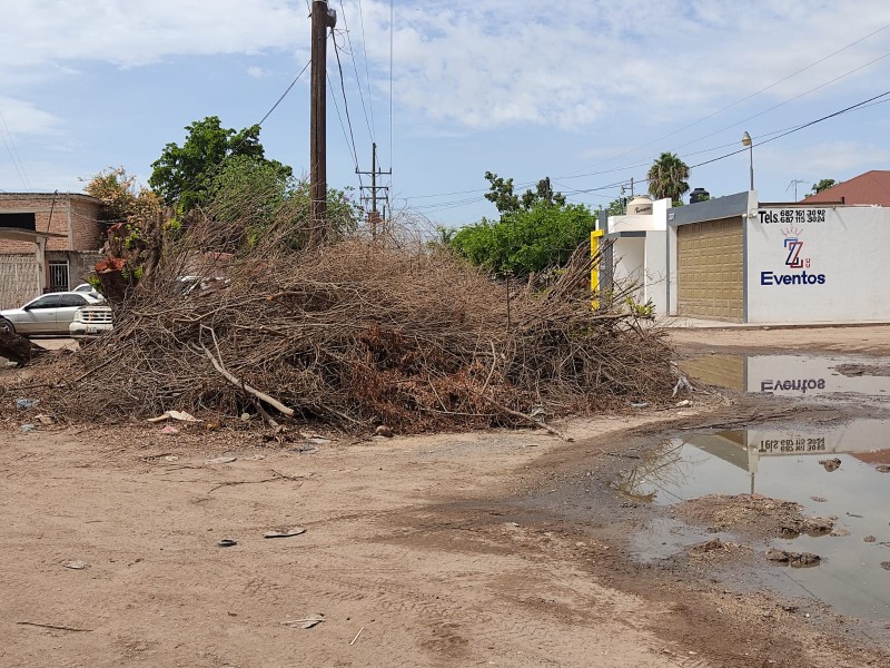 En Guasave ciudadanos denuncian ecocidio en colonia 