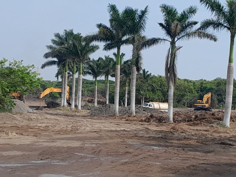 Denuncian tala y relleno de mangle para construir viviendas residenciales