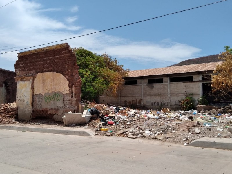 Denuncian terreno con foco de infección y peligro de derrumbe