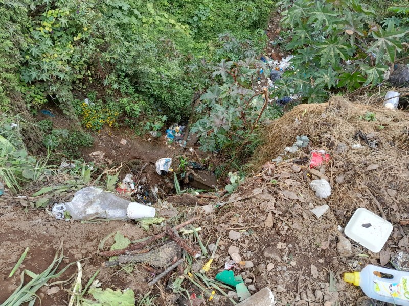 Denuncian tiraderos clandestinos de basura en Patamban