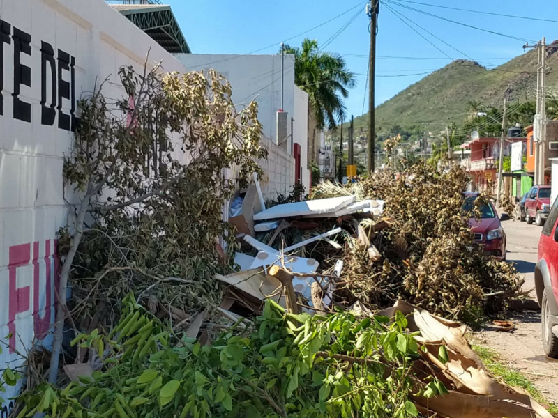 Denuncian tiraderos de basura