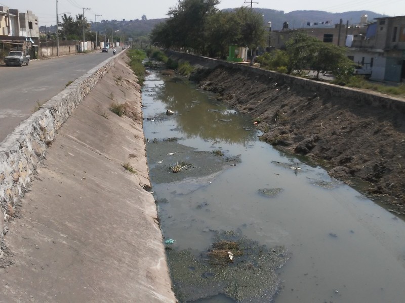 Denuncian trabajos deficientes en limpieza del Sabino