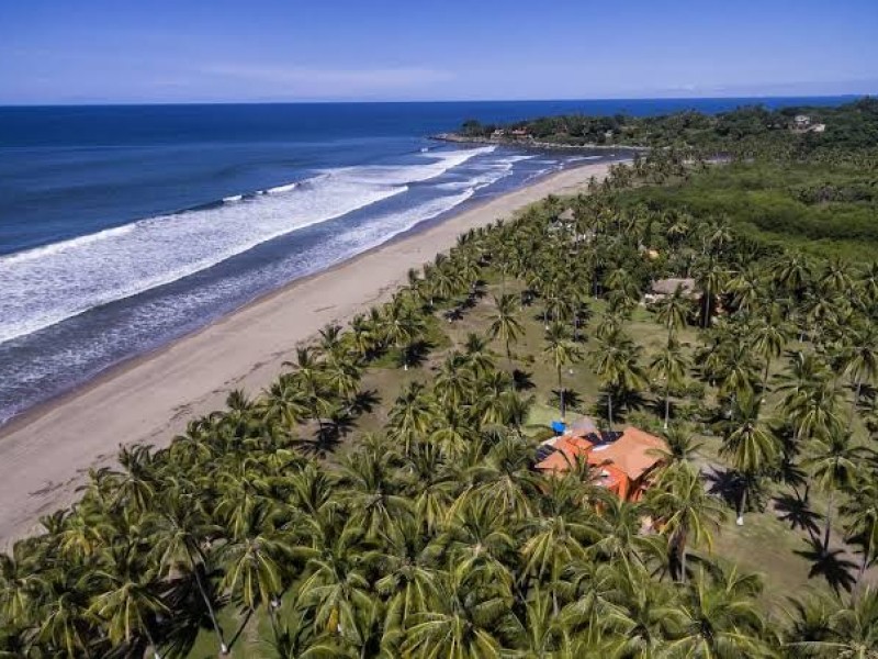 Denuncian turistas ataque de cocodrilo a jóven en Riviera Nayarit